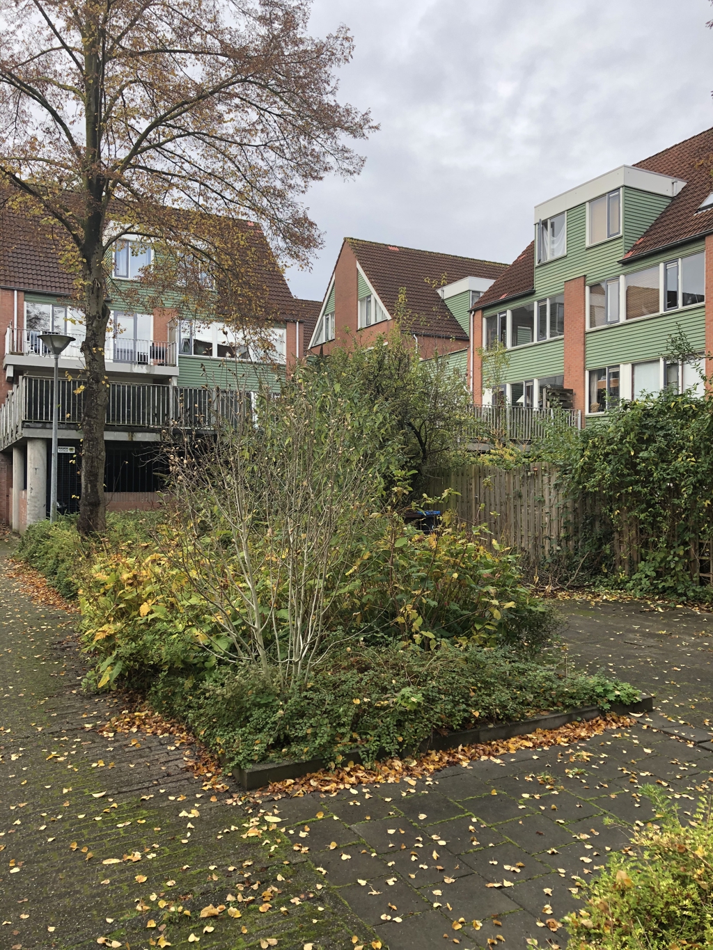 Foto Huizen Lunetten